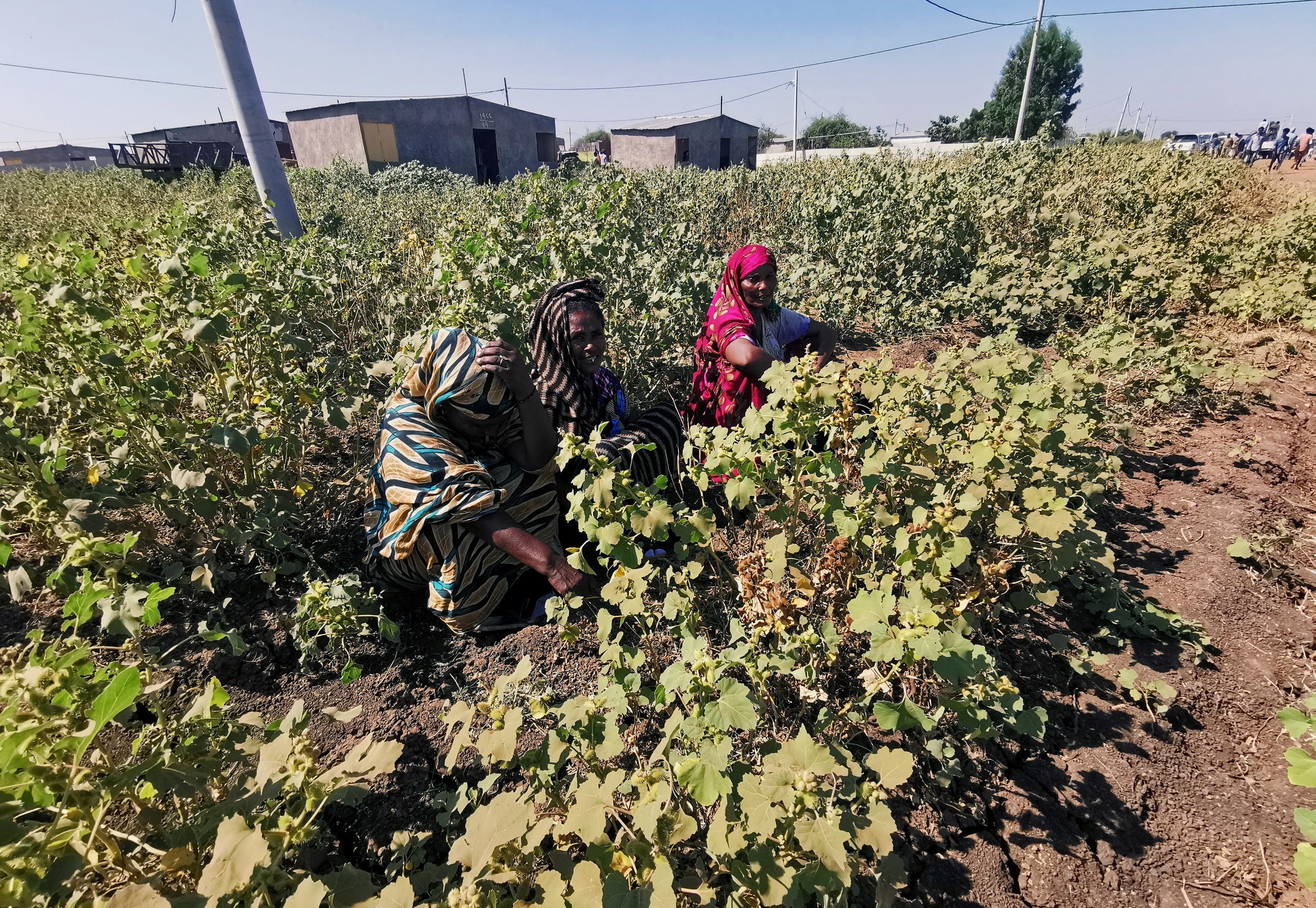 إثيوبيات فررن من القتال الدائر بتيغراي في مخيم للاجئين (أرشيفية)