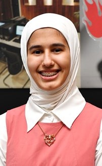 وصف الصورة