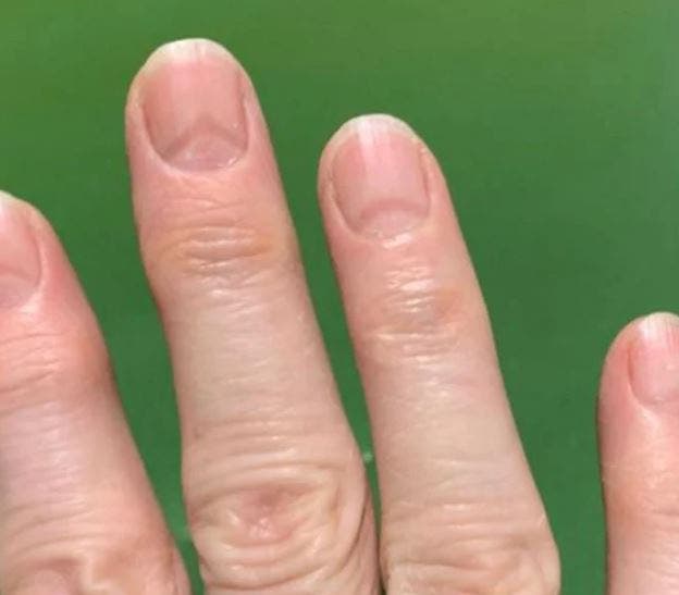 موقع سيانس أليرت