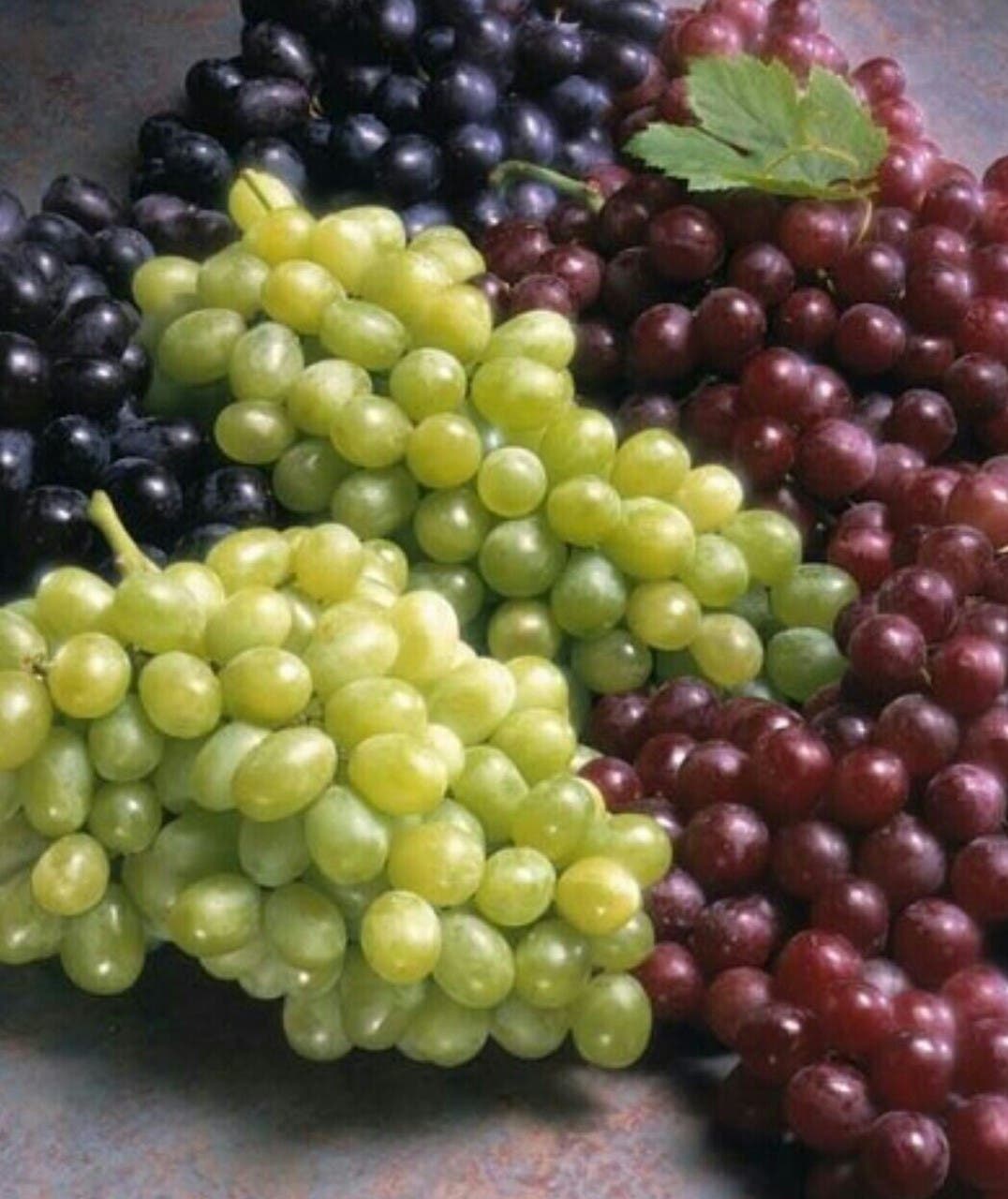 تعبيرية