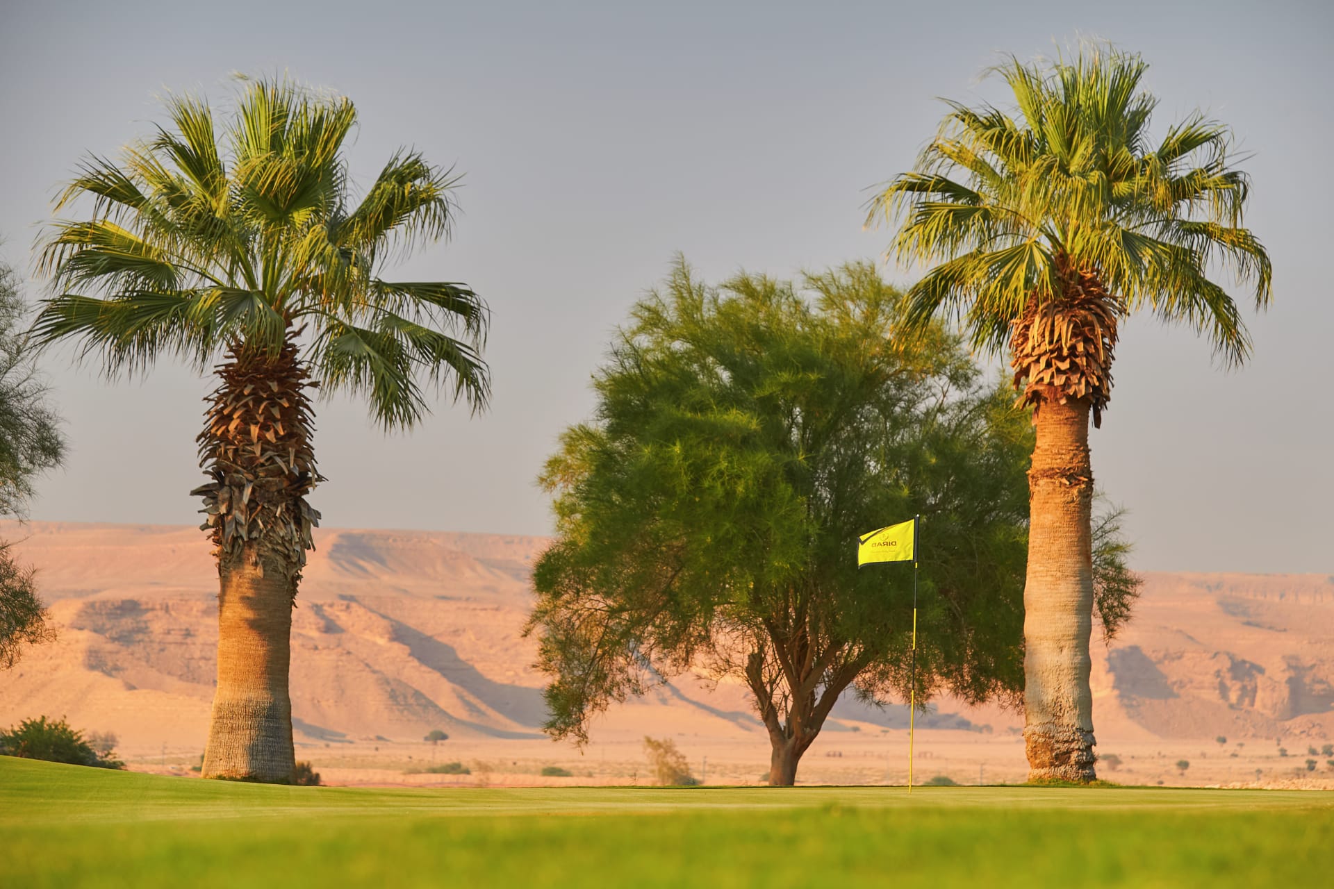 السعودية